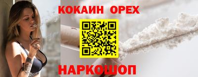 молекула духа Кингисепп