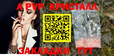 молекула духа Кингисепп