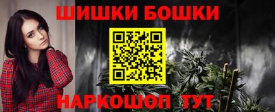 молекула духа Кингисепп
