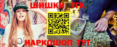 молекула духа Кингисепп