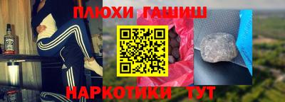 молекула духа Кингисепп