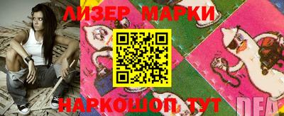 молекула духа Кингисепп