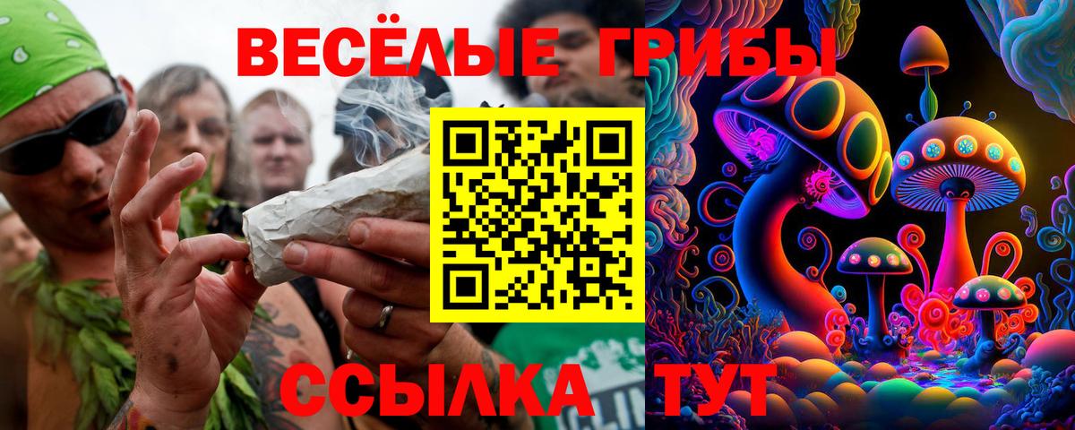Кохма  Галлюциногенные грибы Psilocybe  Псилоцибиновые грибы мицелий  Вход с VPN 