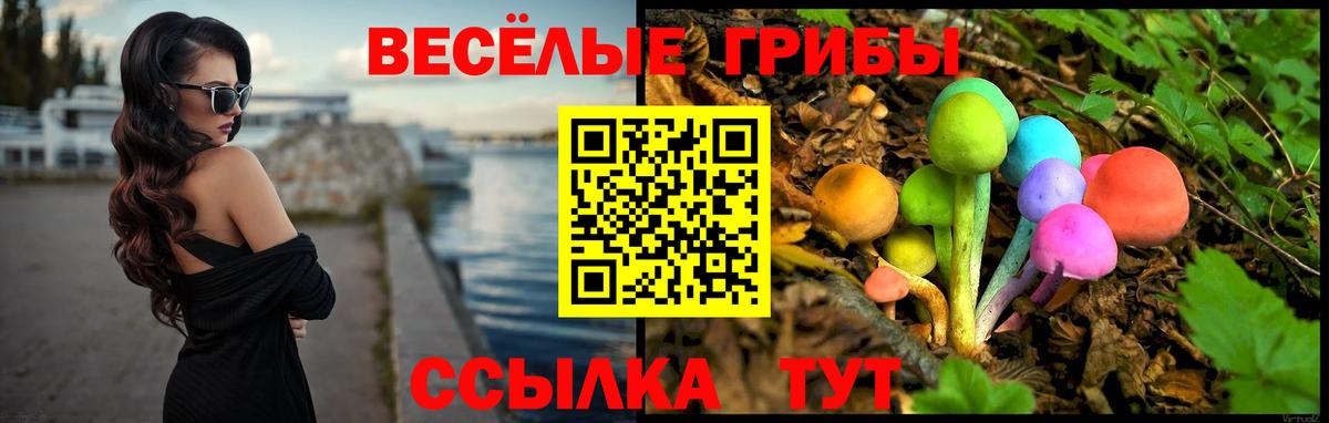 Псилоцибиновые грибы MAGIC MUSHROOMS Кохма